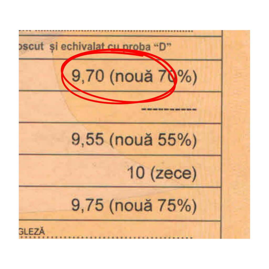 Schițe BAC Română